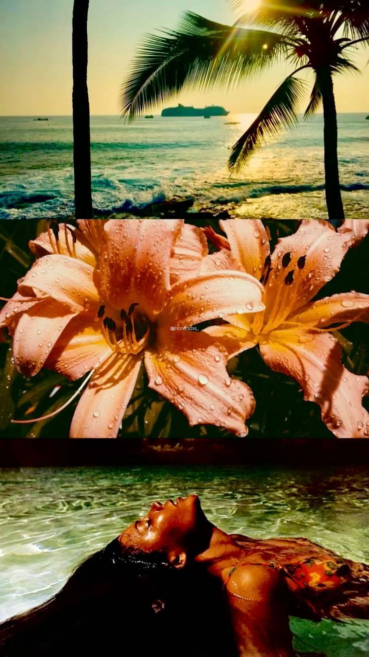 Welcome, welcome, Welcome!