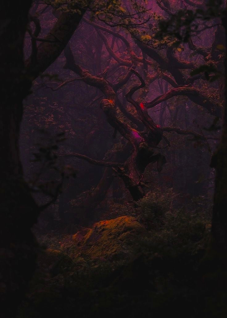 Wicked Woods