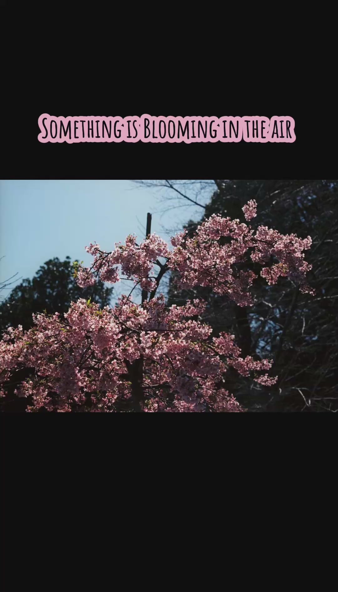 Photos cred: aka_gurley